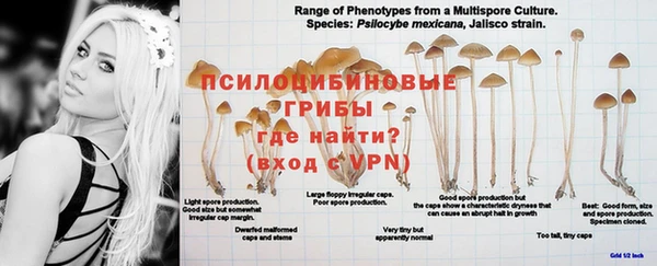 ALPHA-PVP Вяземский